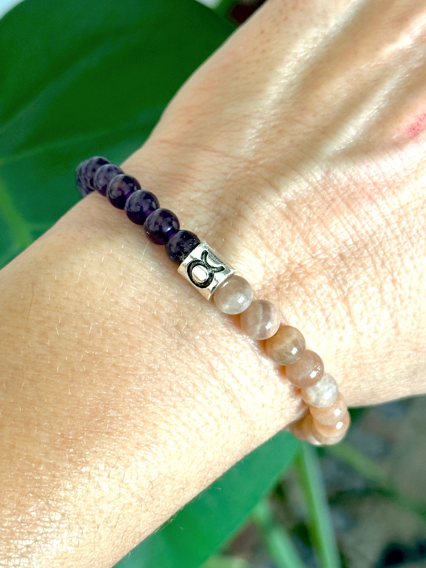 Swan Latte Zodiac Bracelet